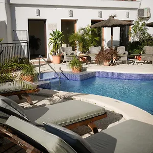 Palmeras Del Califa , Vejer de la Frontera Spain